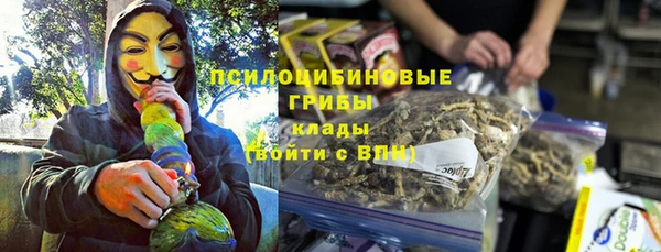 MDMA Богородицк