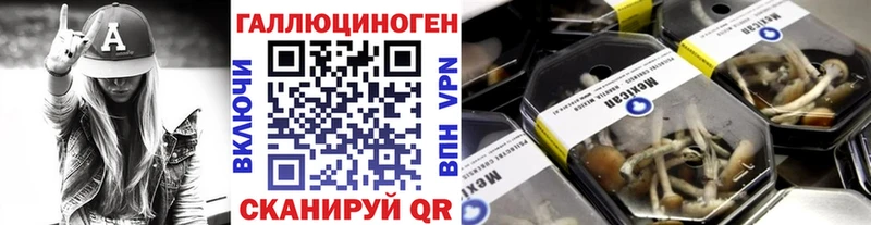Псилоцибиновые грибы ЛСД  Бологое 